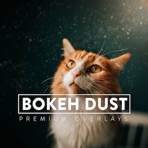 90 Bokeh Overlay | glitter dust, floating dust, falling dust, photoshop overlay, dust bokeh, dust overlay, overlays, christmas light