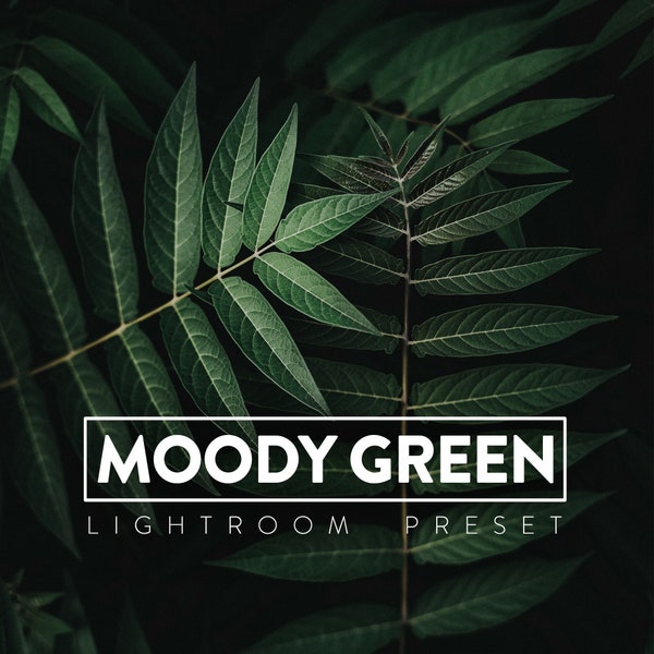 10 ajustes preestablecidos de escritorio y móviles MOODY GREEN Lightroom / Aloe de selva al aire libre de madera de bosque profundo