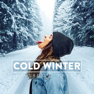 10 COLD WINTER Lightroom Mobile and Desktop Presets | Clean Instagram Winter Frosty Snow Holiday Lifestyle Blogger LR Mobile filter