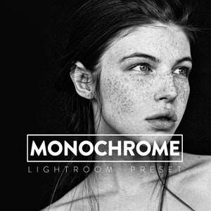 10 MONOCHROOM Lightroom Mobile- en desktop-voorinstellingen | Contrast monotoon, portret, zwart en wit