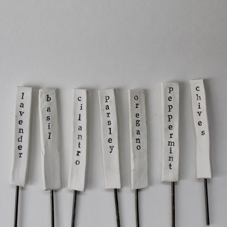 May include: White ceramic plant markers with black lettering. The markers are labeled: Lavender, Basil, Cilantro, Parsley, Oregano, Peppermint, and Chives.