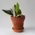 Personalized Herb Marker: Clay or Metal Plant Labels