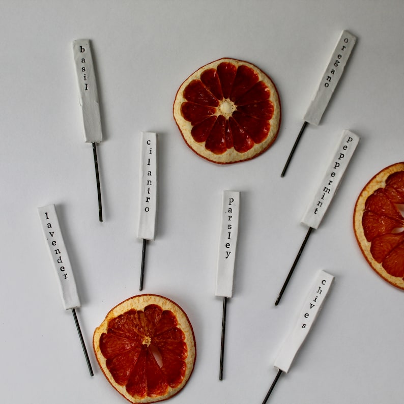 May include: White ceramic plant markers with black text, including "basil", "cilantro", "lavender", "oregano", "parsley", "peppermint", and "chives".  Dried orange slices are also included.