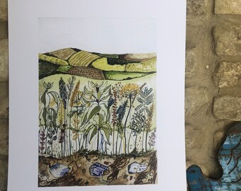 The backfields A3 Print- Hand Edited