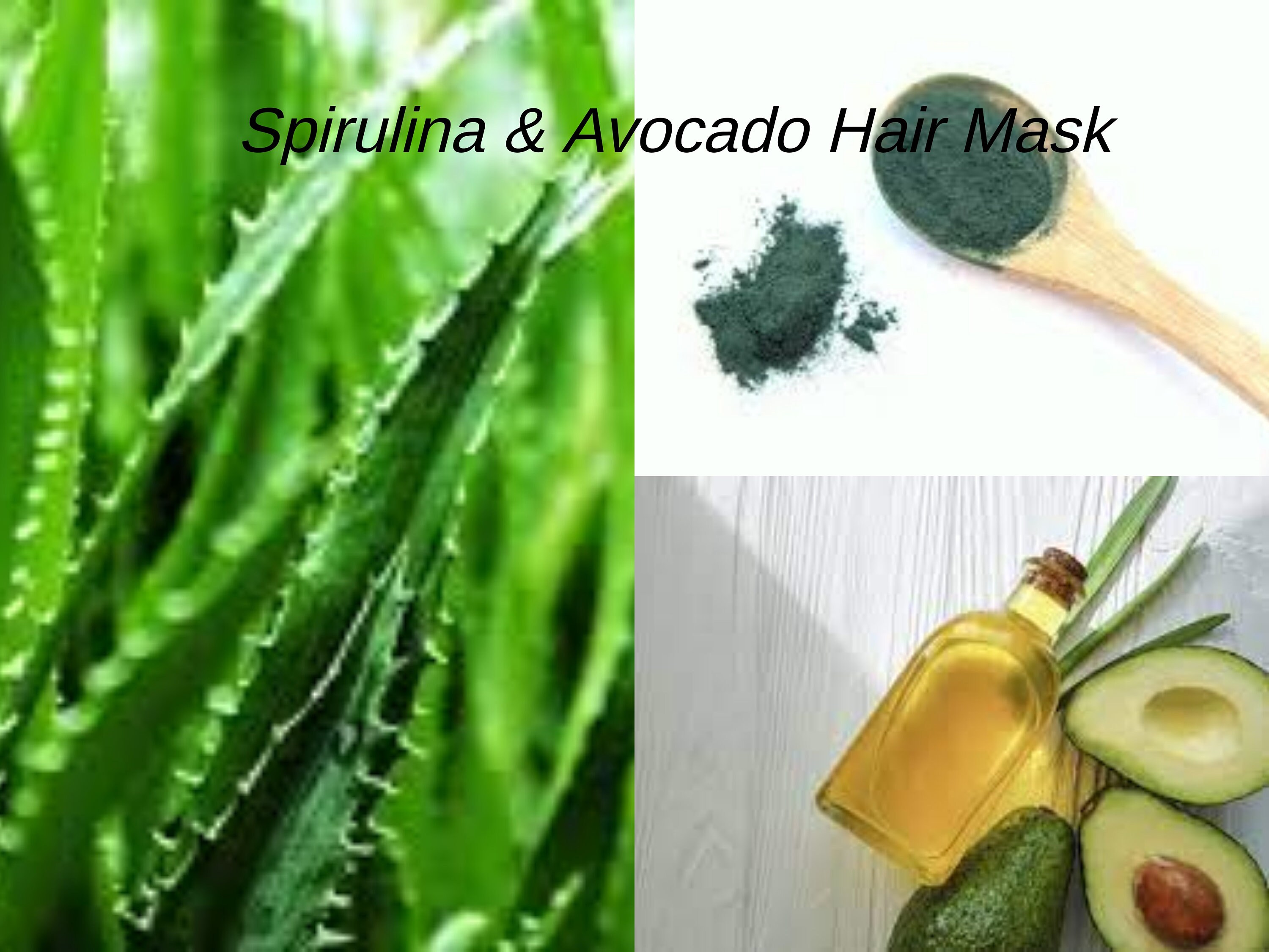 Spirulina & Avocado Hair Mask Etsy