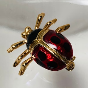 Ladybug Brooch - lady beetle pin - ladybird pin - insect pin - bug pin - red bug pin