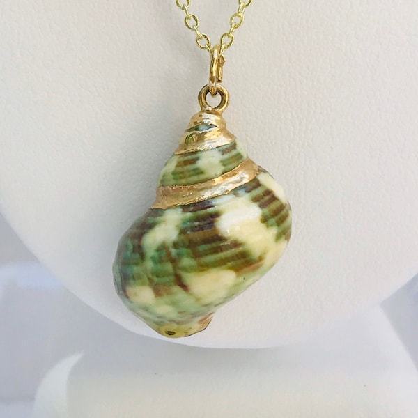 Green Seashell Necklace - Green and White Seashell pendant - gold trimmed seashell