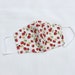 COTTON REUSABLE Cute Cottagecore Strawberry Pattern Double Layer Fitted Face Mask 