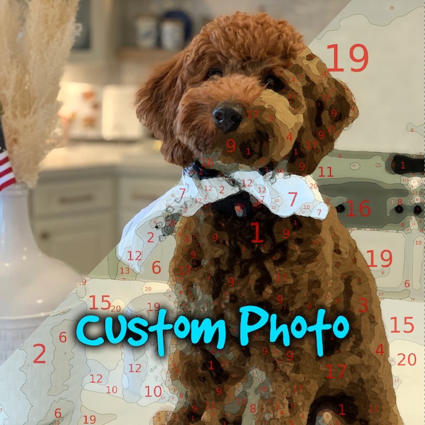 Custom Paint by Number Kit, Personalised Paint By Number, Paint Your Photo, Dog Portrait Painting, Custom Portrait, Valentines Day Gift