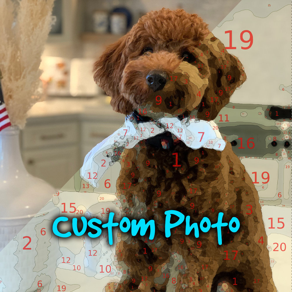 Custom Paint By Number Kit  Paint Your Photo – Pets By Numbers
