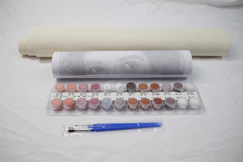 May include: A paint-by-numbers kit with a rolled canvas, a printed guide, and a tray of numbered paint pots in various colors. Includes a set of blue-handled paint brushes. The kit is designed for creating a painting.