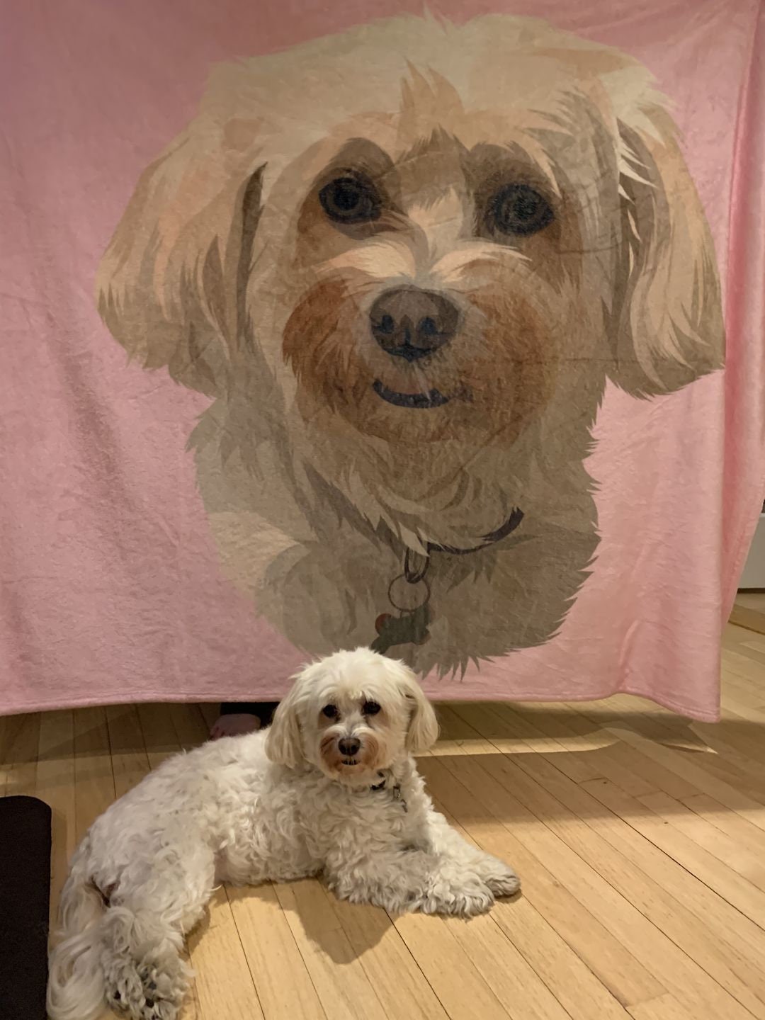 Custom Pet Portrait Blanket Personalized Dog Fleece Blanket Etsy UK