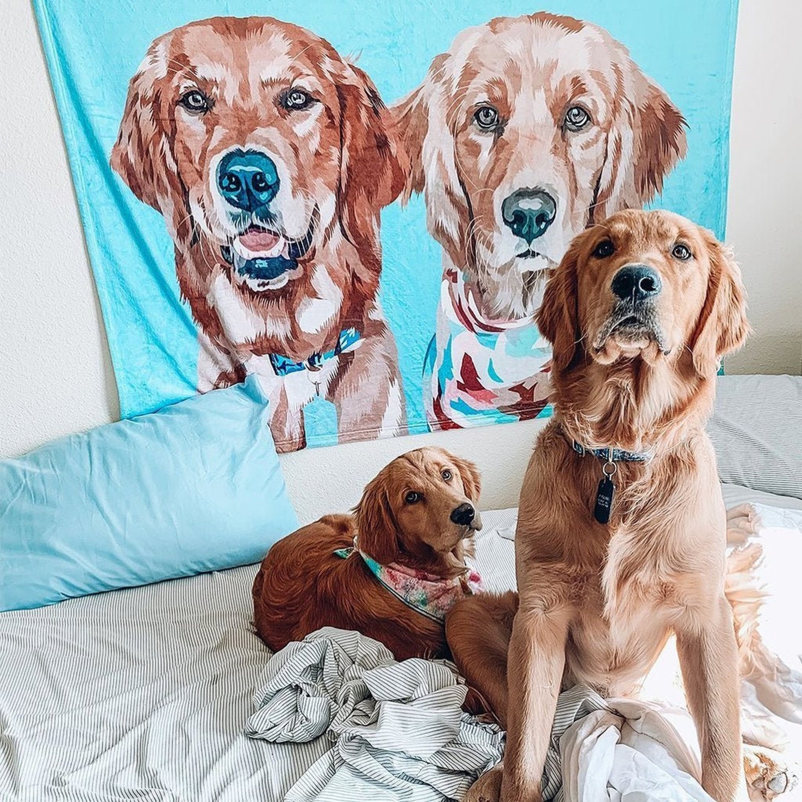 Custom Pet Portrait Blanket Personalized Dog Fleece Blanket Etsy UK