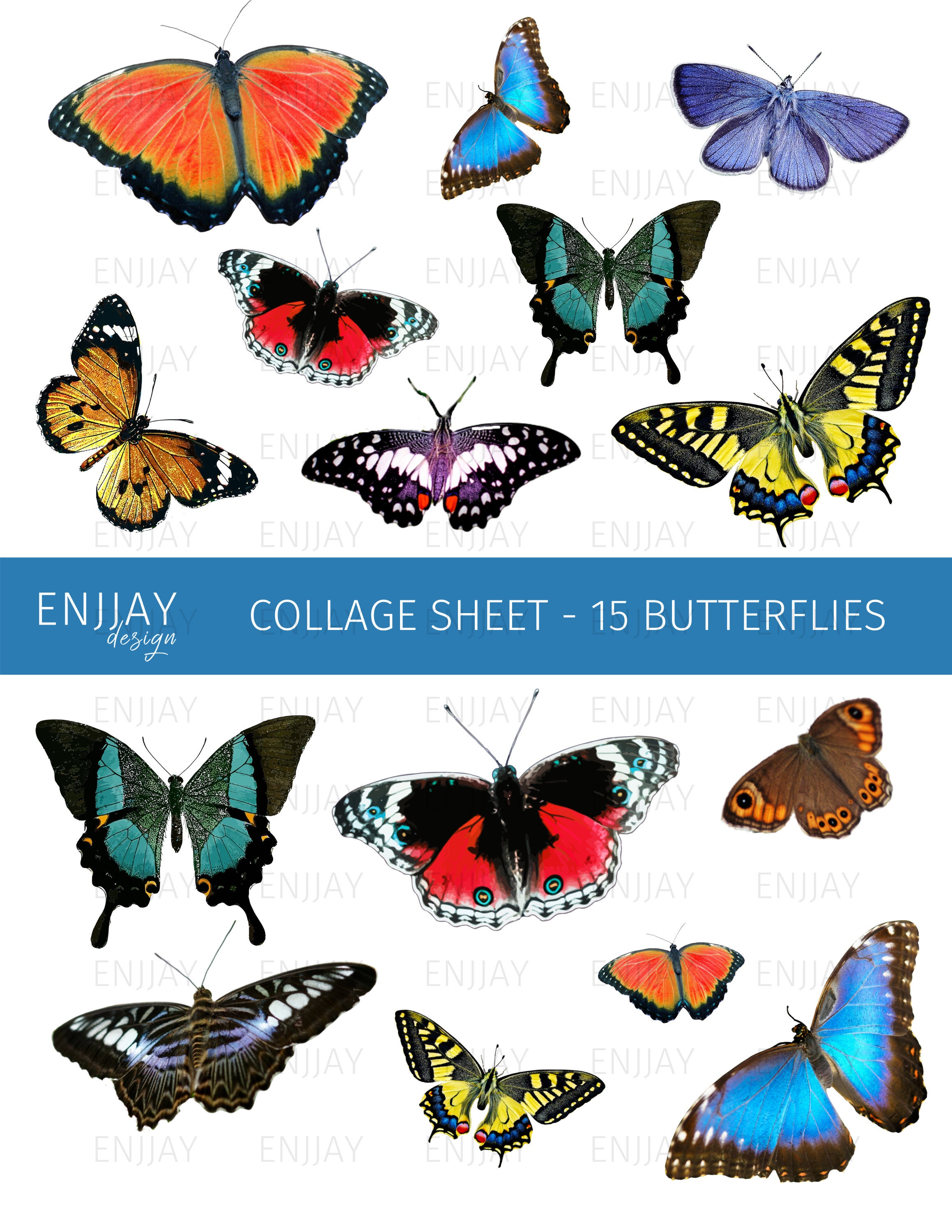 Butterflies Digital Collage Sheet, Butterflies Clipart, Digital