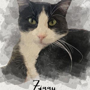 Digital Watercolor Illustration, Custom Cat Portrait from Picture for Pet Lover image 6