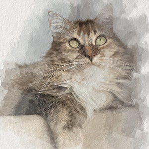 Digital Watercolor Illustration, Custom Cat Portrait from Picture for Pet Lover image 9