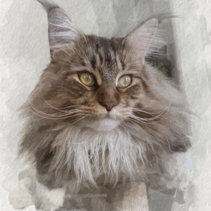 Digital Watercolor Illustration, Custom Cat Portrait from Picture for Pet Lover image 7