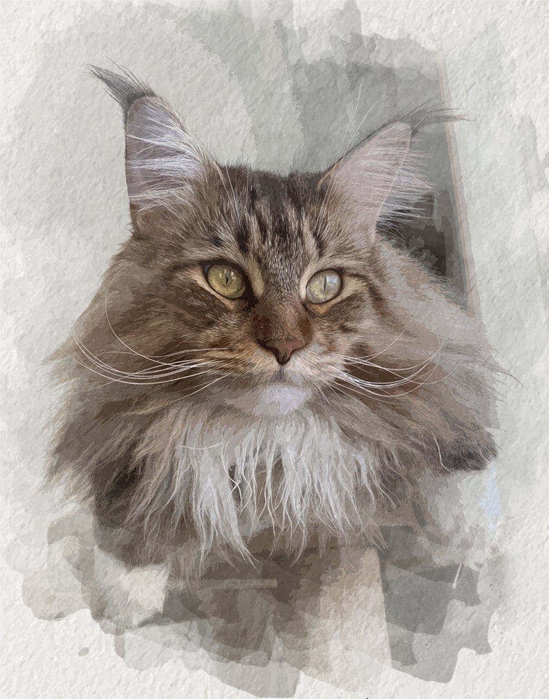 Digital Watercolor Illustration, Custom Cat Portrait from Picture for Pet Lover image 7