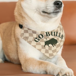 Usf dog bandana shop