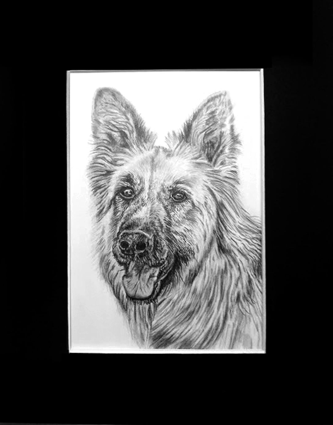 Graphite Pet Portrait, Commissioned Art, Matted Art, Pet Memorial
