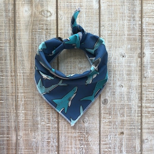 Sharks dog bandana blue