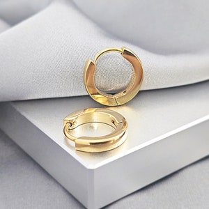 Basic Gold Hoop Huggies Earrings, Surgical Steel Huggies Earrings, Minimalist Small Hoop Earrings, Cartilage Gold Hoop, Simple Earrings Men