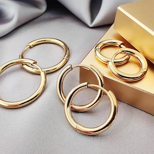 2.5MM Classic Gold Hoop Earrings, 316L Surgical Steel Simple Gold Plated Hoops, Hinged Snap on Clicker Plain Hoop Earrings Jewelry Gift