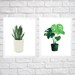 Houseplant Paint-by-Number Set 