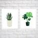 Houseplant Paint-by-Number Set 