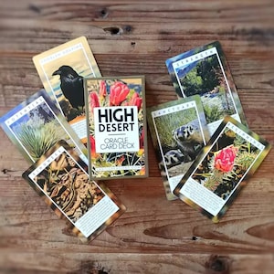 High Desert Oracle Deck || Animal Oracle Deck || Plant Oracle Deck || Handmade Oracle Deck || Oracle Cards Gift || Divination