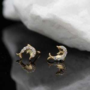 14k solid gold Dolphin stud earrings