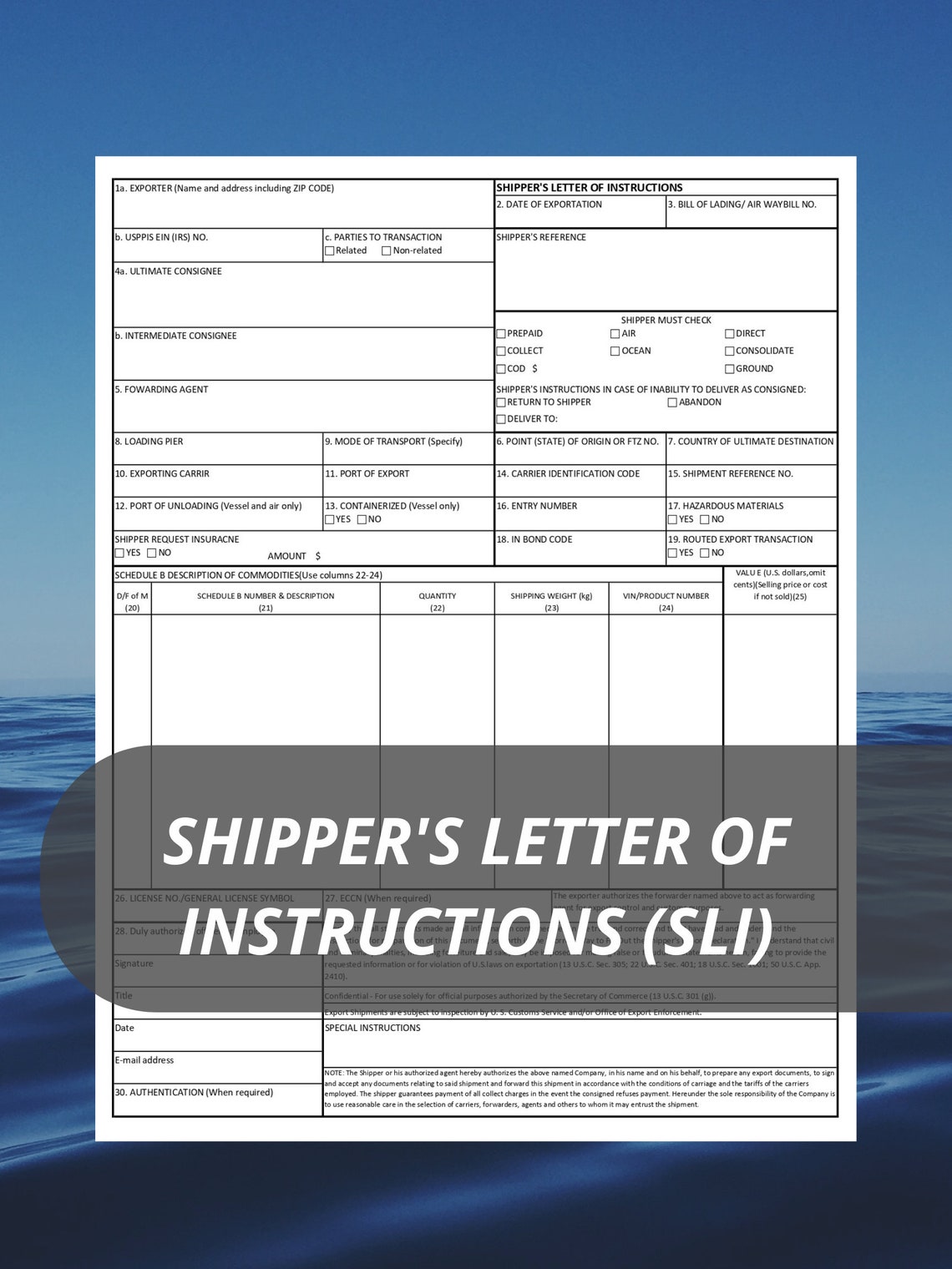Shipper's Letter of Instruction / SLI / Export Document Etsy