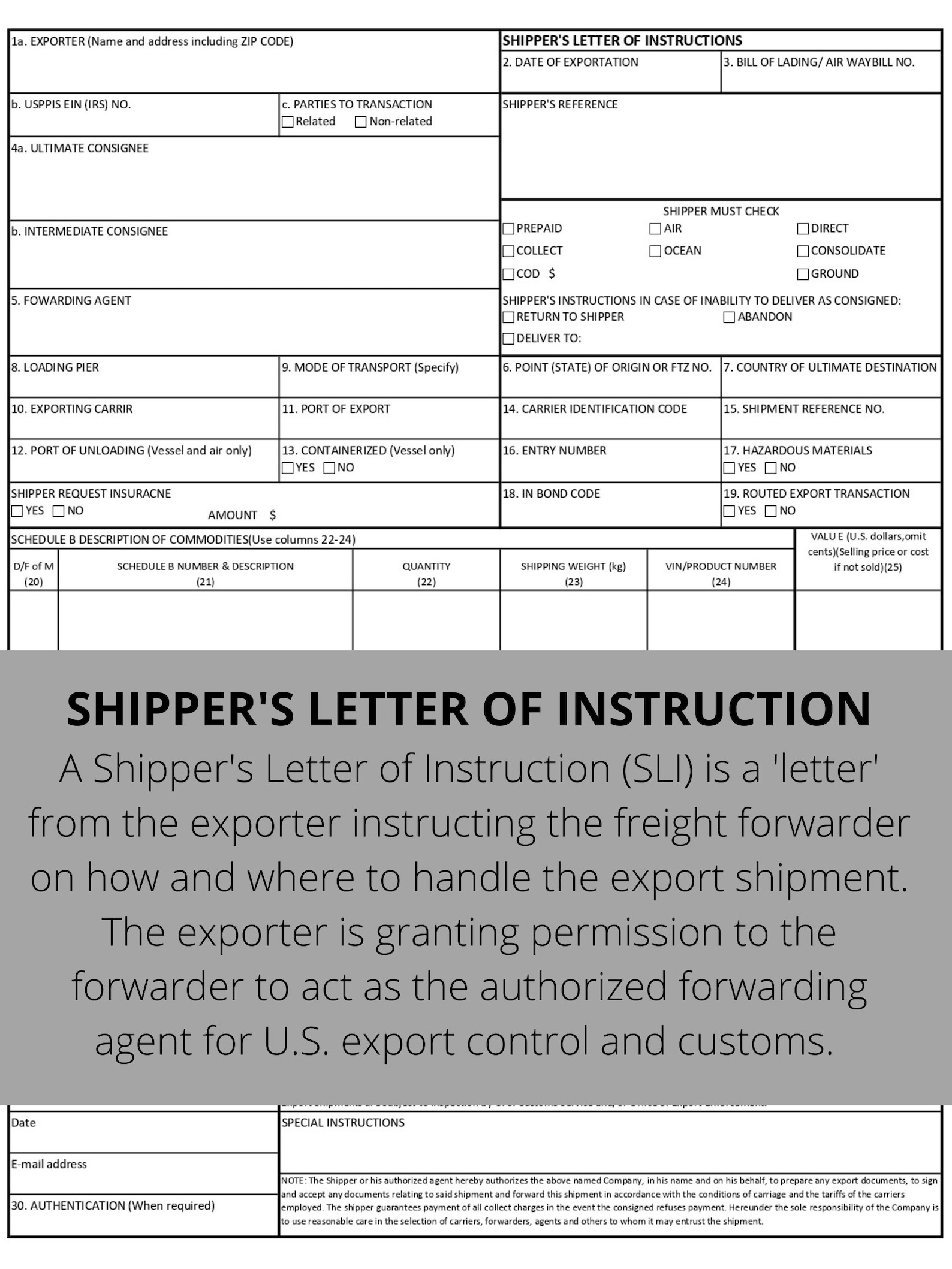 shipper s letter of instructions template