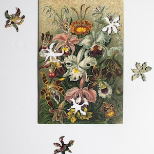 May include: A vintage jigsaw puzzle featuring a colorful bouquet of orchids in shades of pink, purple, white, and yellow. The puzzle pieces are cut in a unique shape, resembling leaves and flowers.