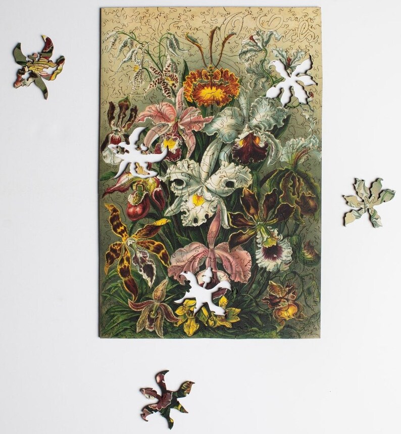 May include: A vintage jigsaw puzzle featuring a colorful bouquet of orchids in shades of pink, purple, white, and yellow. The puzzle pieces are cut in a unique shape, resembling leaves and flowers.