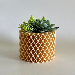 May include: A light beige geometric planter with a diamond pattern, holding a small arrangement of green succulents.