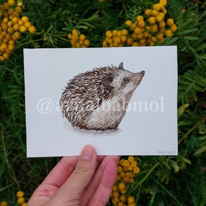 Physical print of little Hedgehog by Alba BMol Art