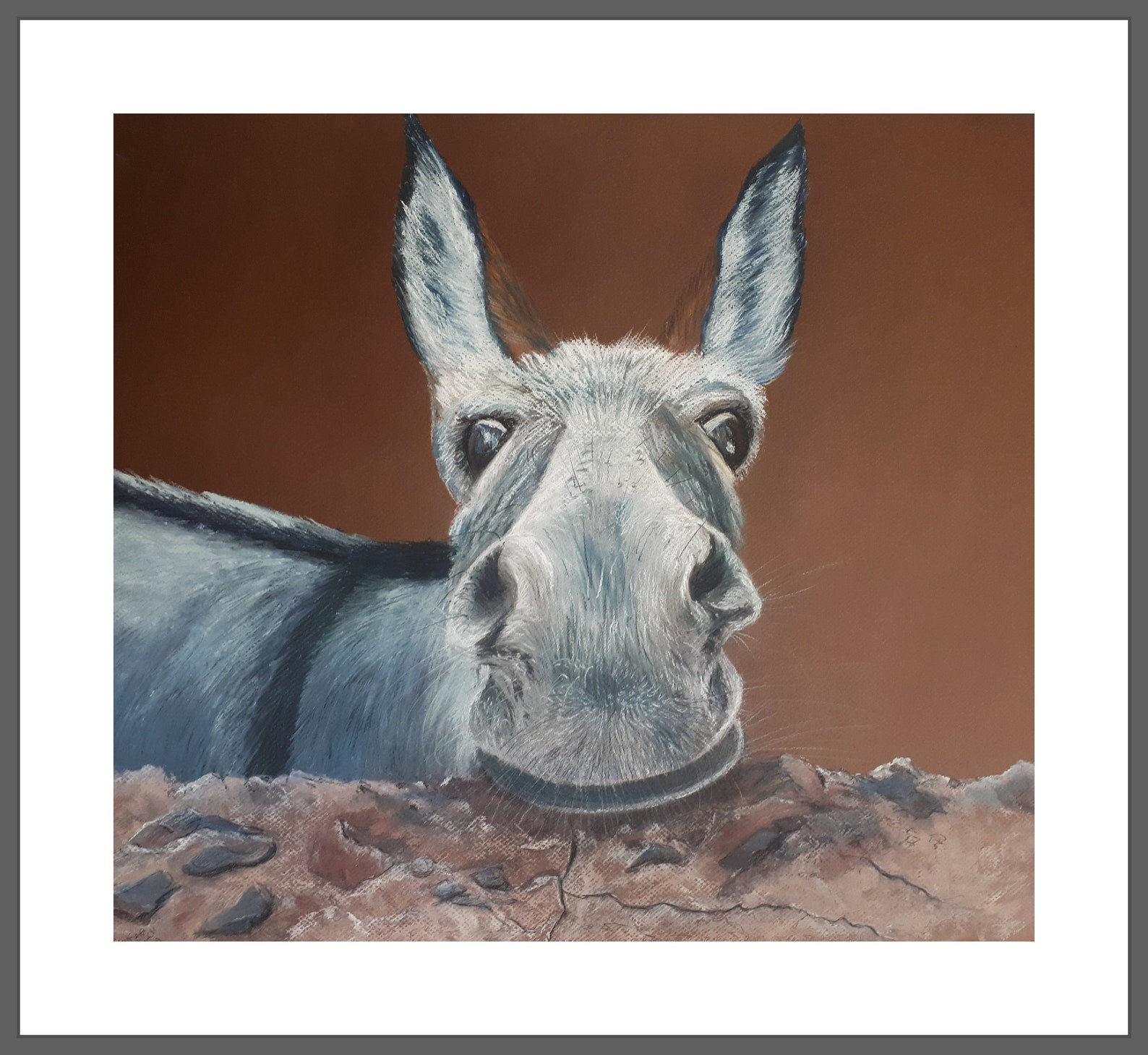 A4 fine art print donkey print unframed art print original Etsy