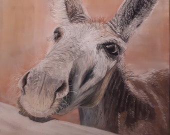Donkey soft pastel painting, unframed art, rescue donkey home decor, wall art, gift for friends, gift, equine wall art, donkey painting