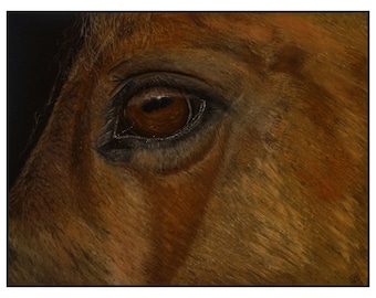 horse original soft pastel, horse artwork, unframed art, original art, soft pastel art, horse eye painting, equine wall art, gift idea