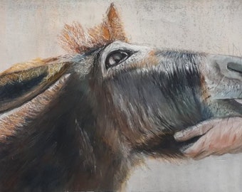 Donkey soft pastel painting, unframed art, rescue donkey wall art, home decor art, gift for friends, gift,  equine wall art, donkey painting