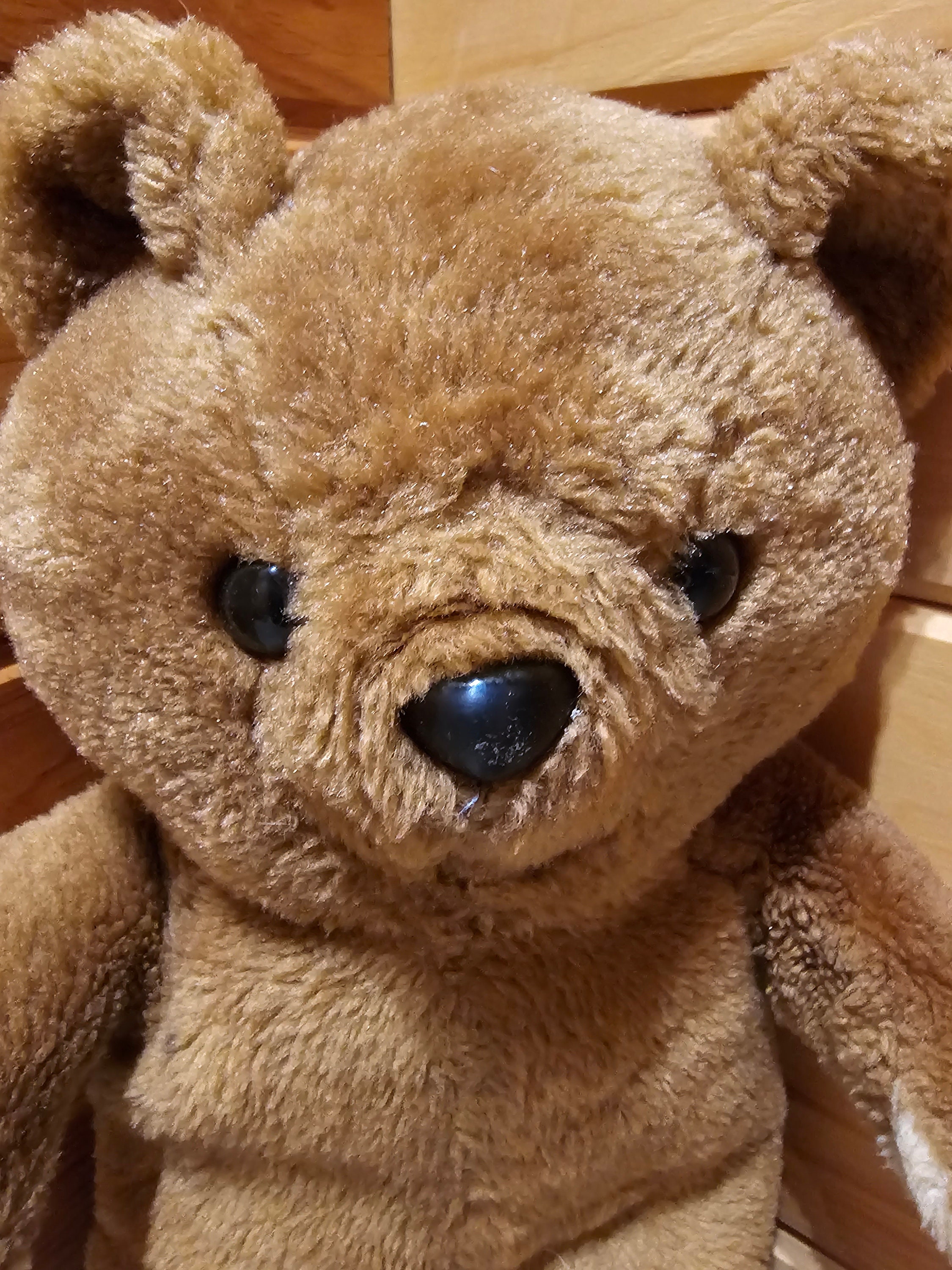 Brown Bear Plush Vintage Chatterbox Boy Bear Records and Brown Bear Plush Vintage Chatterbox Boy Bear Records and