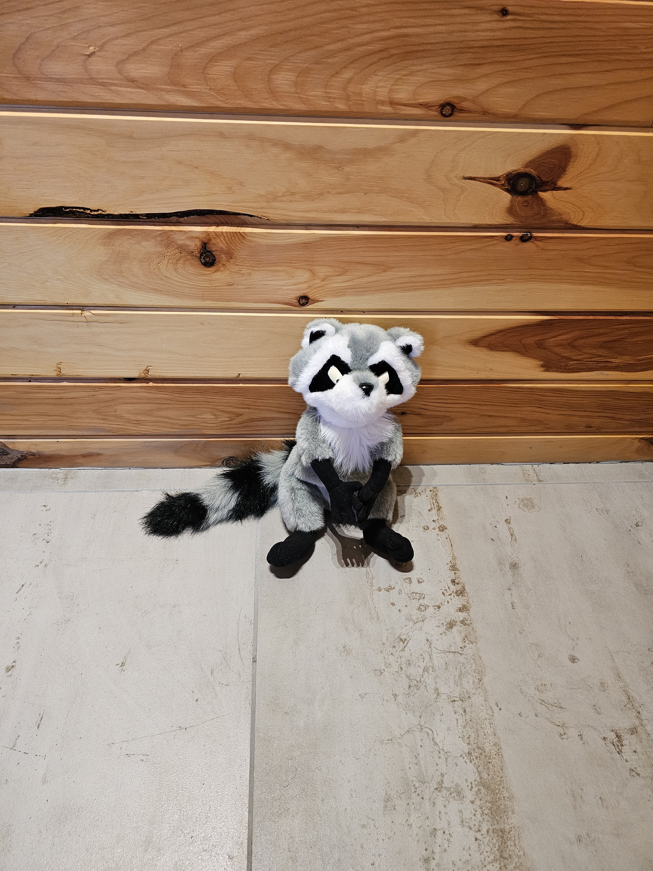 ポカホンタス アライグマ ぬいぐるみ サウンド ミーコ