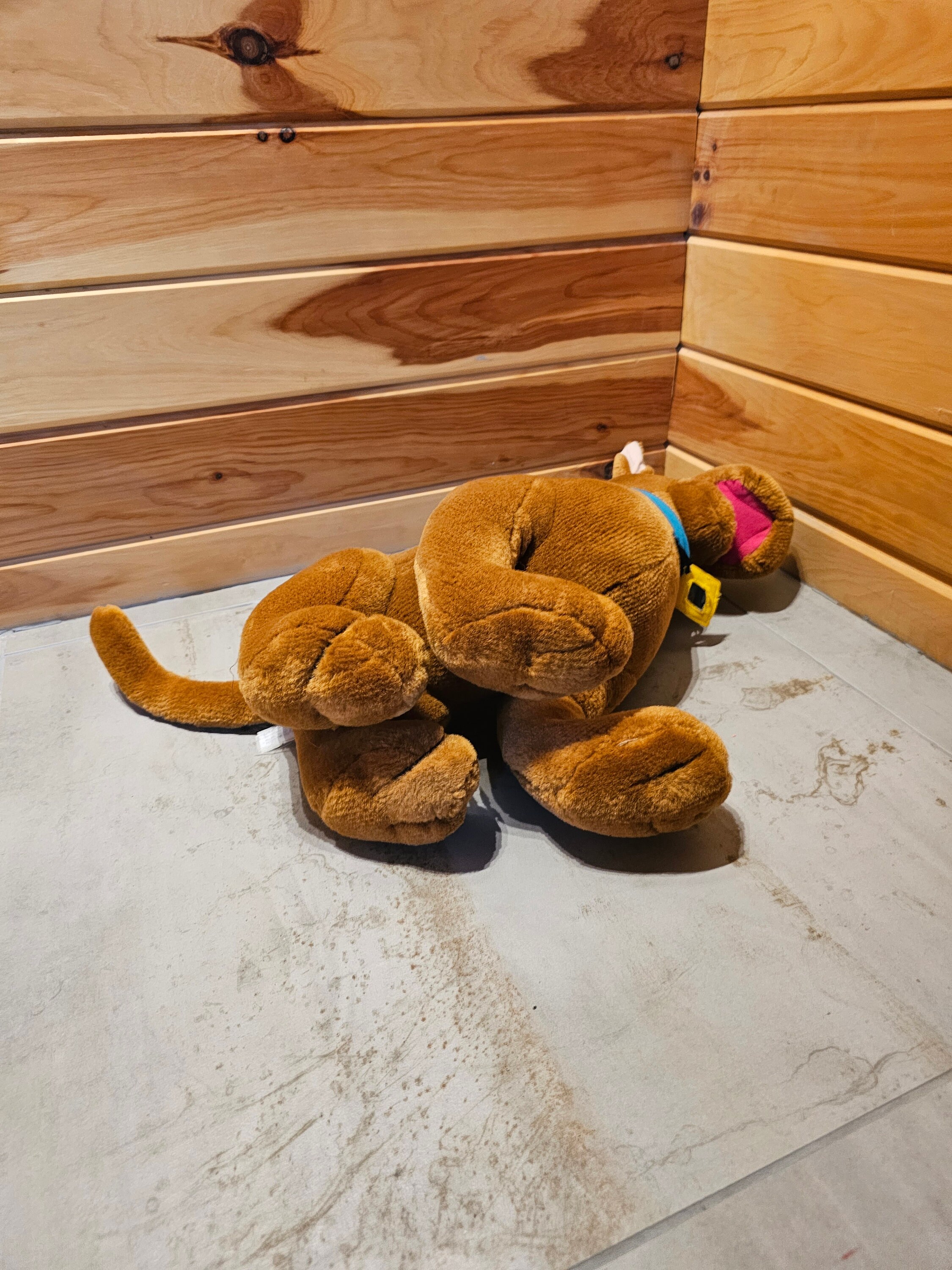 Scooby-doo Plush Warner Bros Studio Store 12