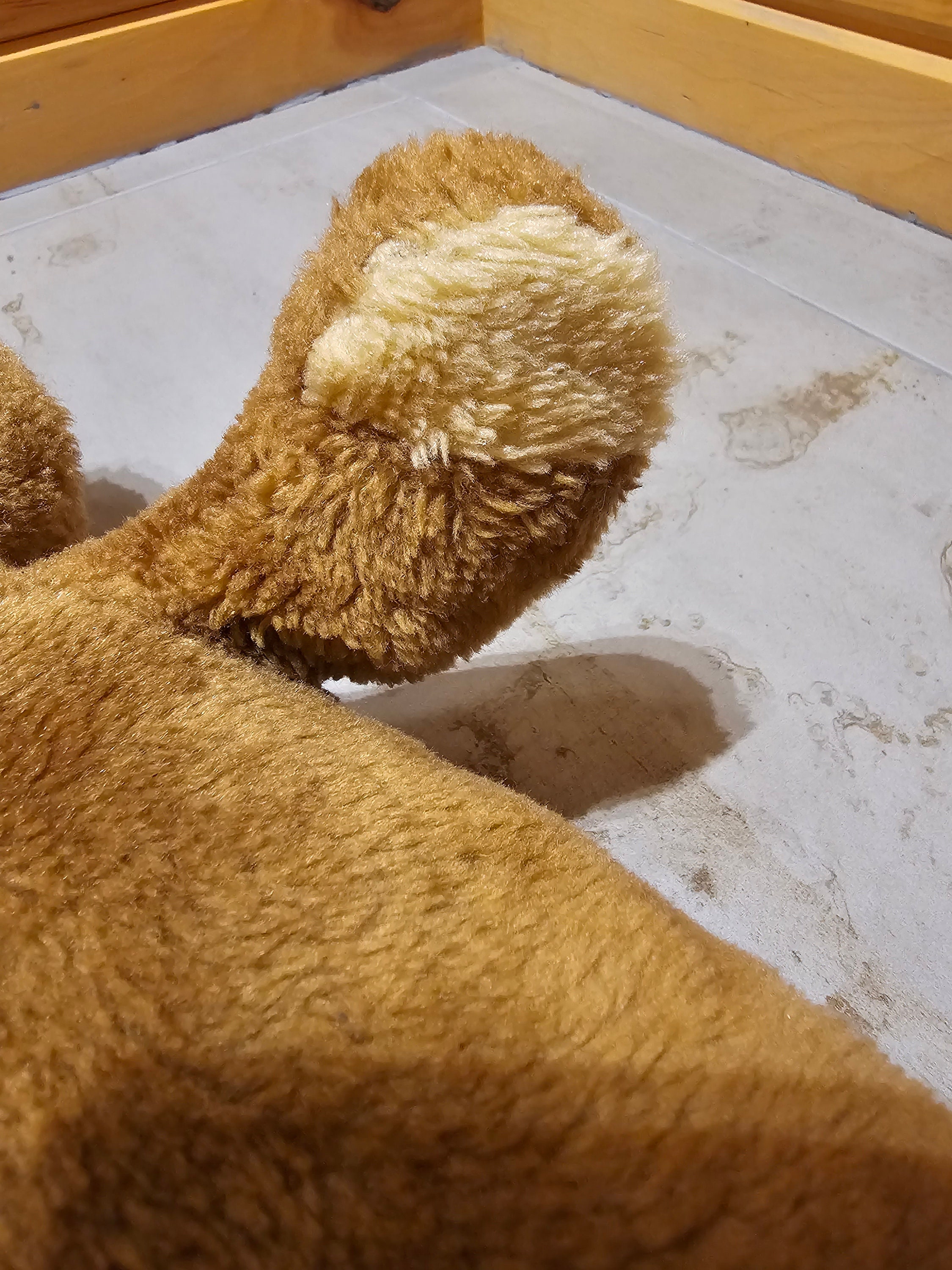 Brown Bear Plush Vintage Chatterbox Boy Bear Records and Brown Bear Plush Vintage Chatterbox Boy Bear Records and