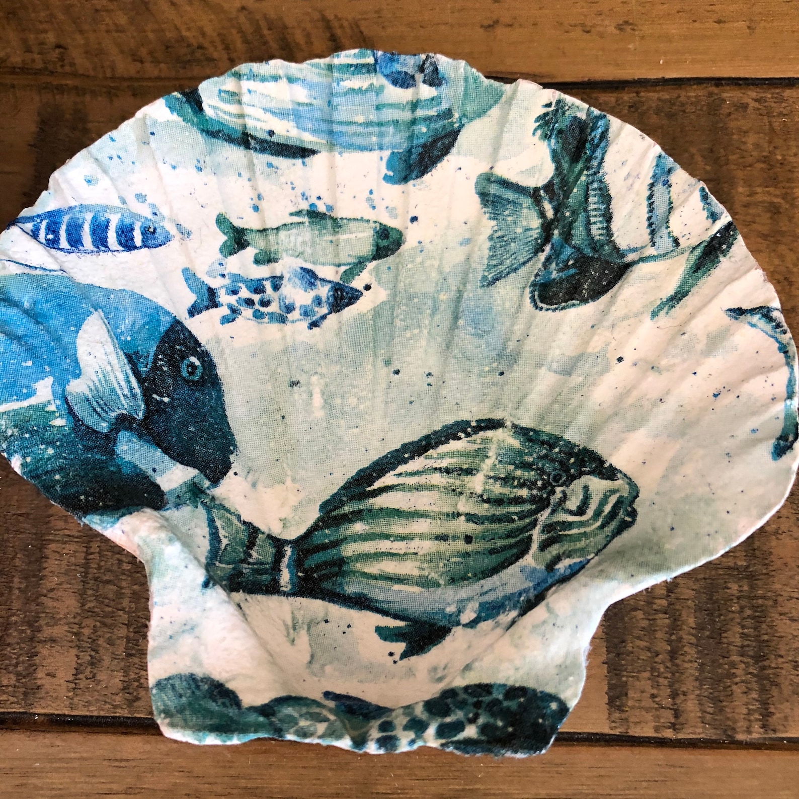 Under the Sea Scallop Shell Decoupage Fish Shells Gift For Etsy