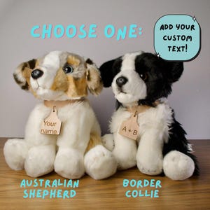 Personalized Australian Shepherd and Border Collie Dog Plush with Laser engraved collar