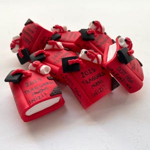 Examen, festgåva, minibok, examensboksmagnet handgjord i fimo, anpassningsbar.