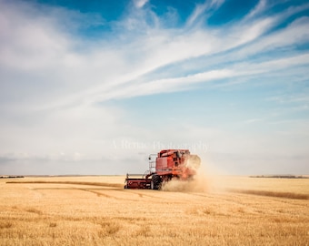 Kansas Wheat Harvest Fine Art Print: Midwest Farm Landscape
