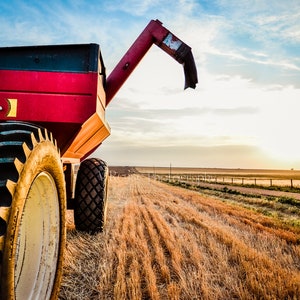 Wheat harvest art, Wheat field fine art print, grain cart photo, Country landscape wall art photography, farming photo, farm art,